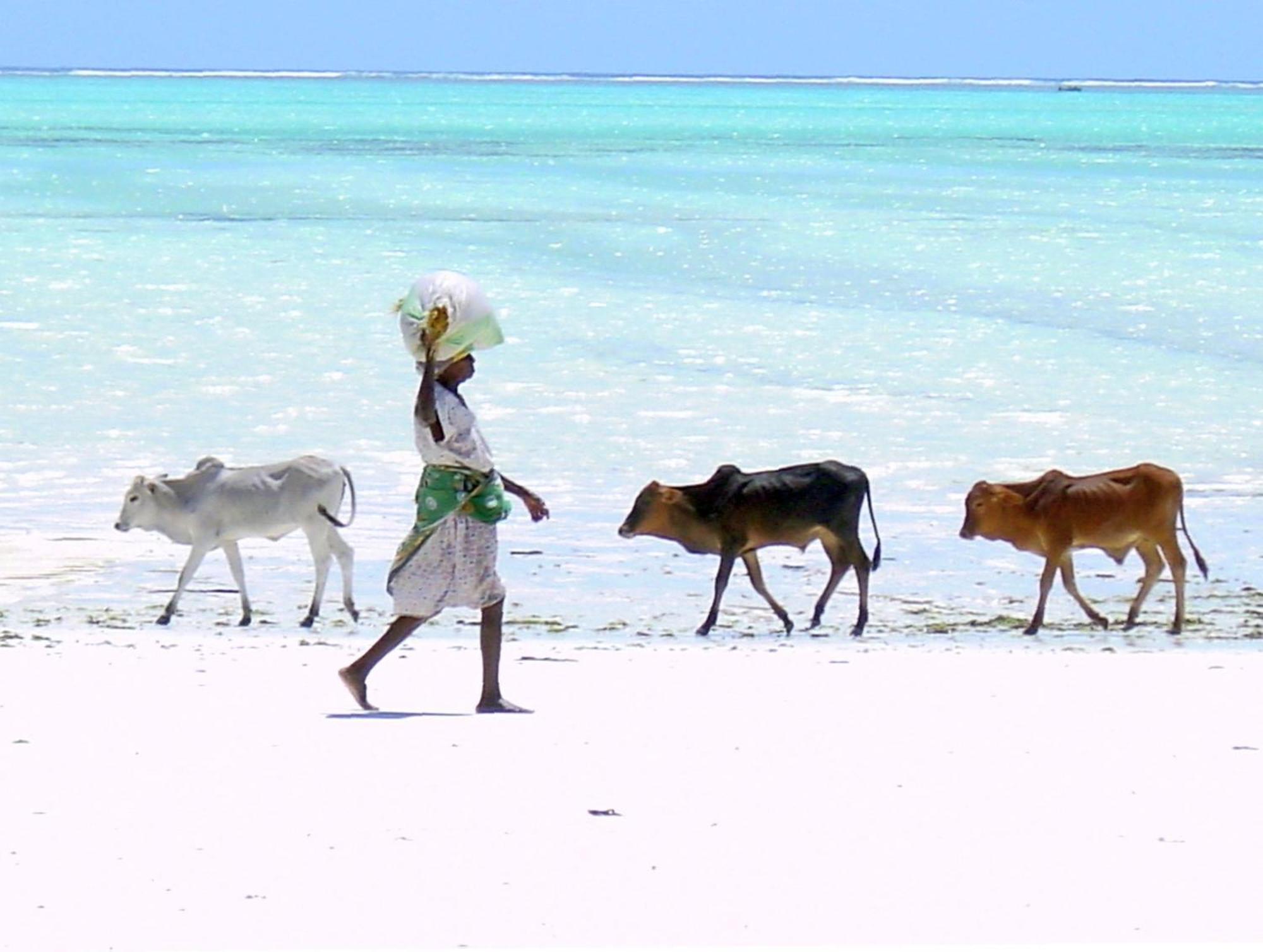 Villa Bahati Zanzibar Jambiani  Luaran gambar